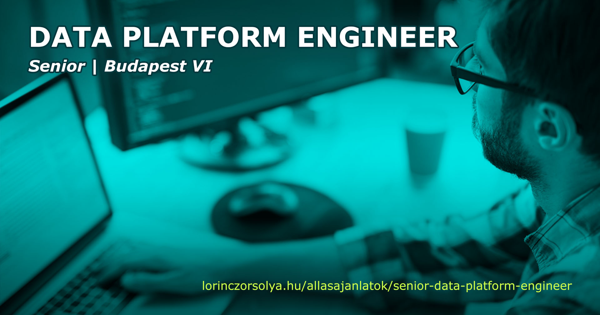 Data Platform Engineer állás