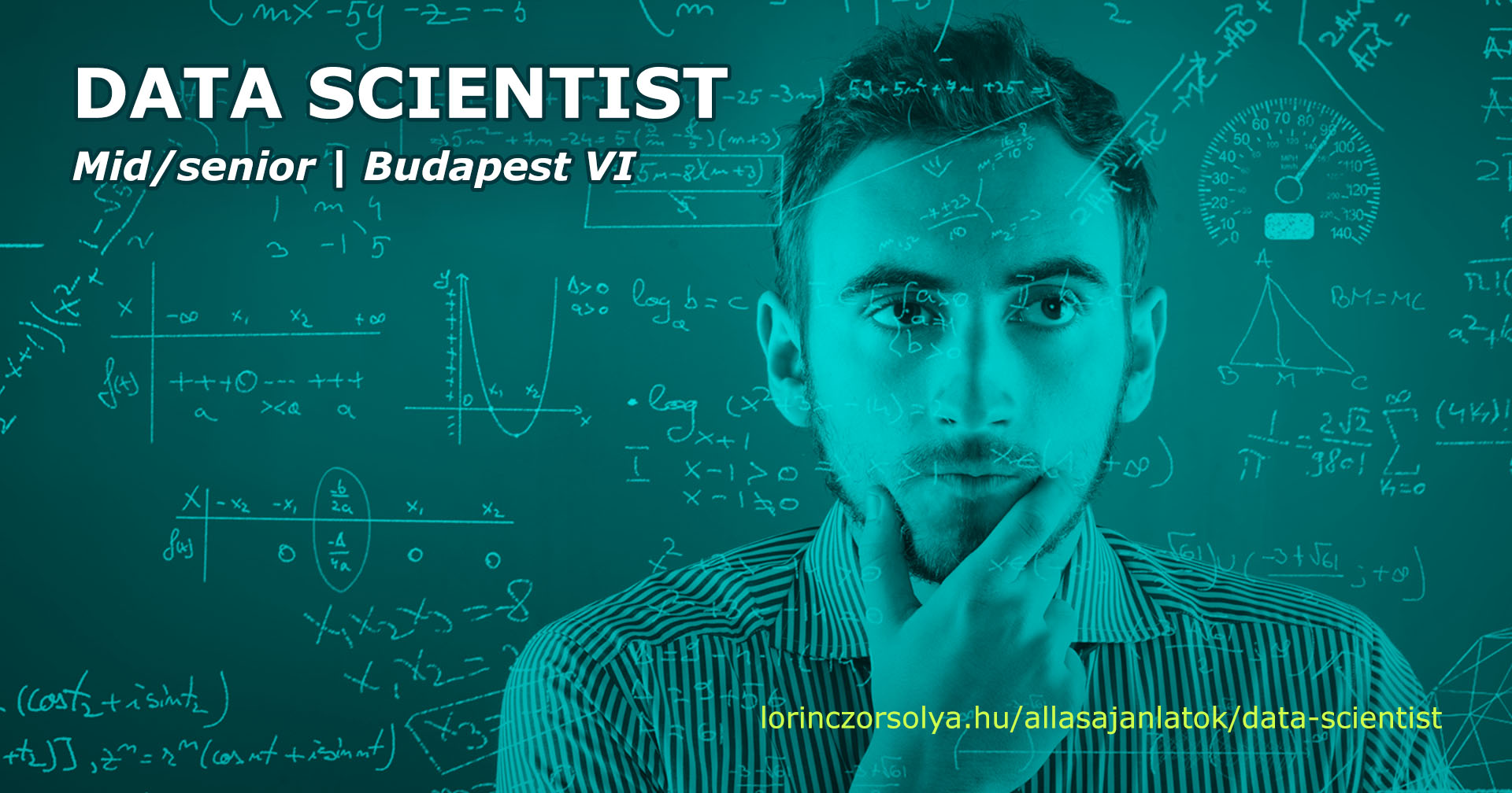 Data Scientist állás