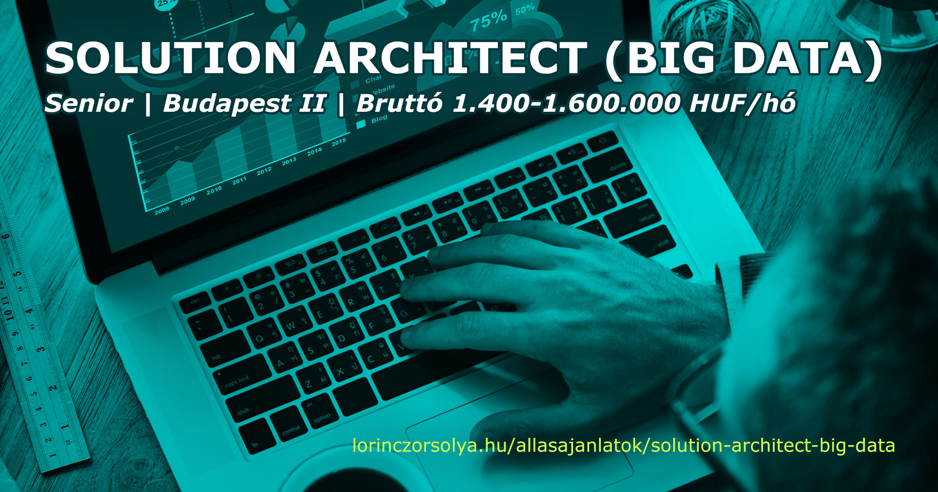 Solution Architect (big data) állás